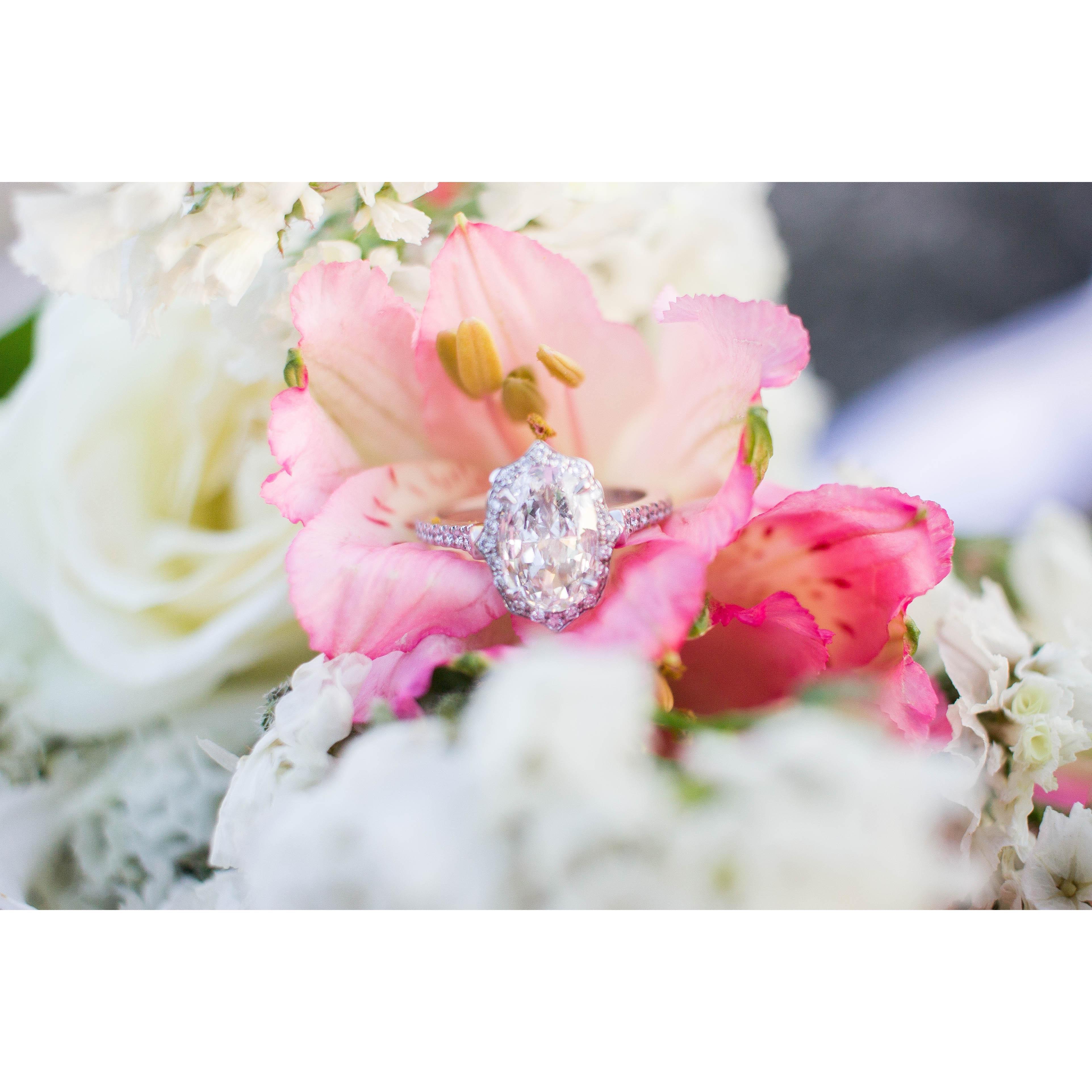 Our engagement photoshoot