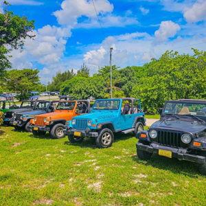 Jeep Tour of the Bahamas
