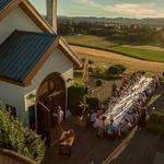 Anne Amie Vineyards