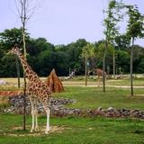 Columbus Zoo and Aquarium