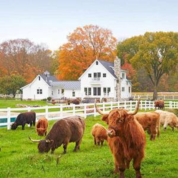 Our Future House Down Payment Fund (Credit Card)