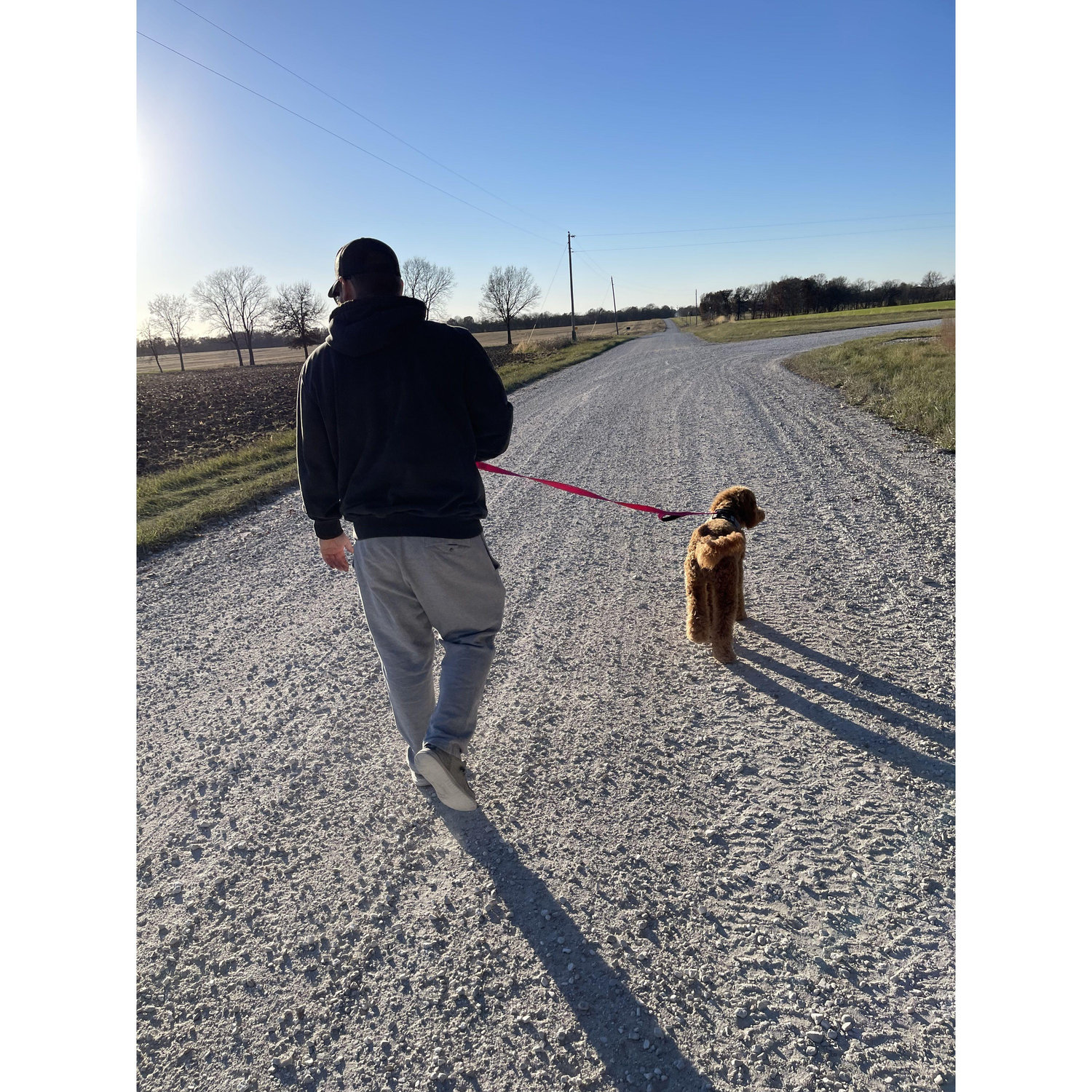 right before he purposed, on murphs first walk :)