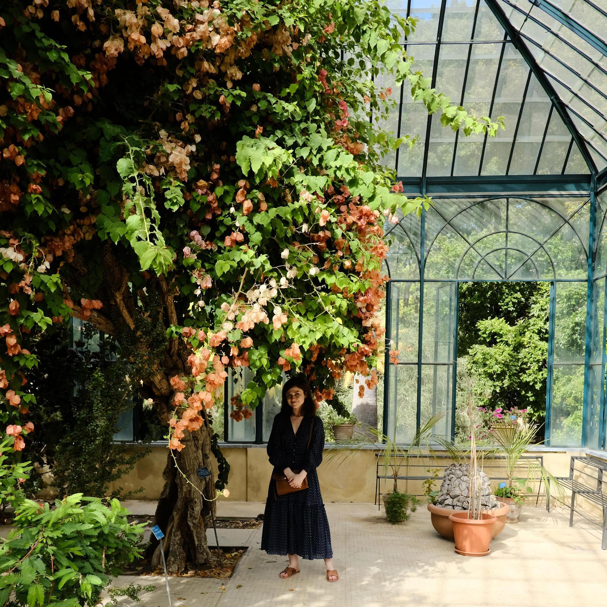 Melissa at the Botanical Garden in Palermo
