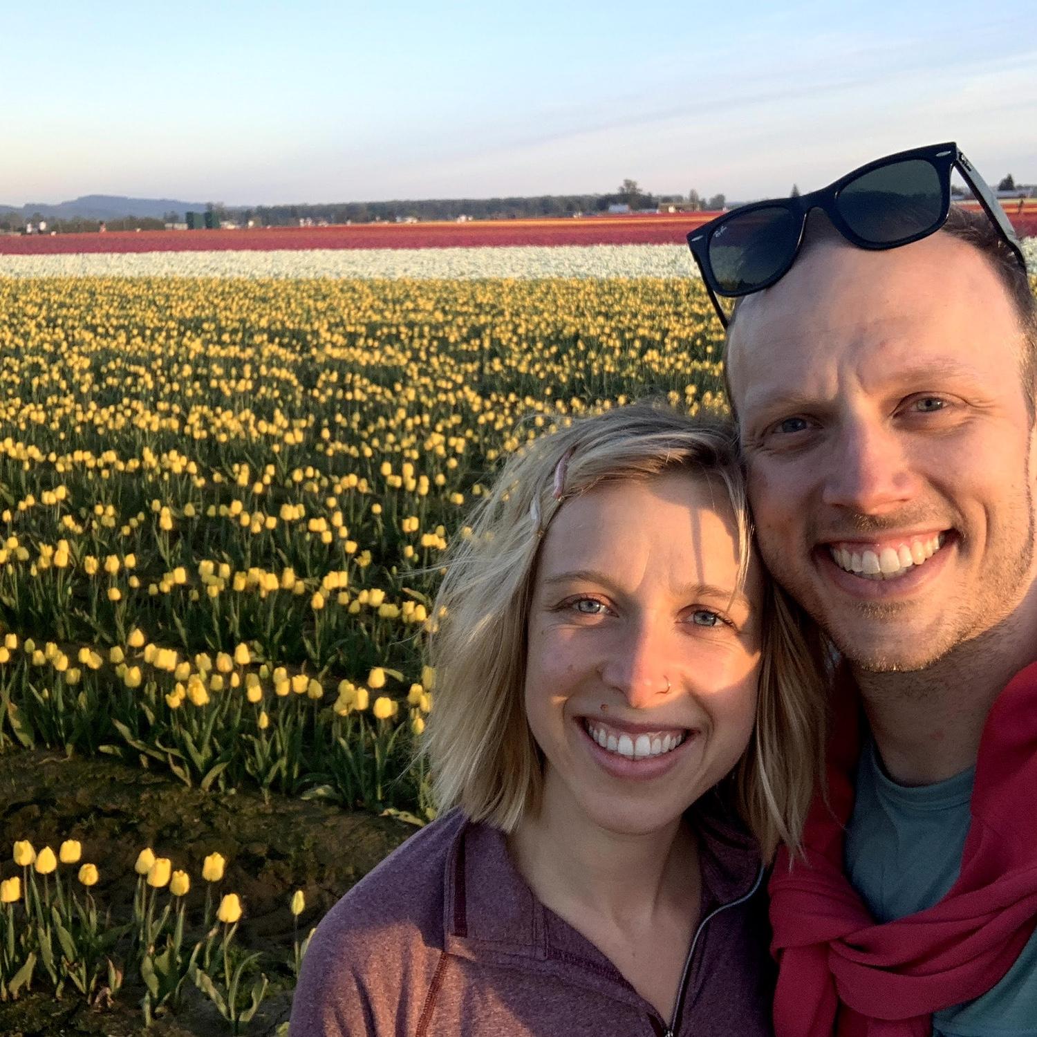 Skagit Valley tulip fields