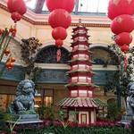 Bellagio Conservatory & Botanical Gardens