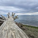 Edmonds