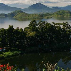 Gorilla trekking permit in Bwindi & Mgahinga Gorilla National Park