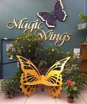 Magic Wings Butterfly Conservatory