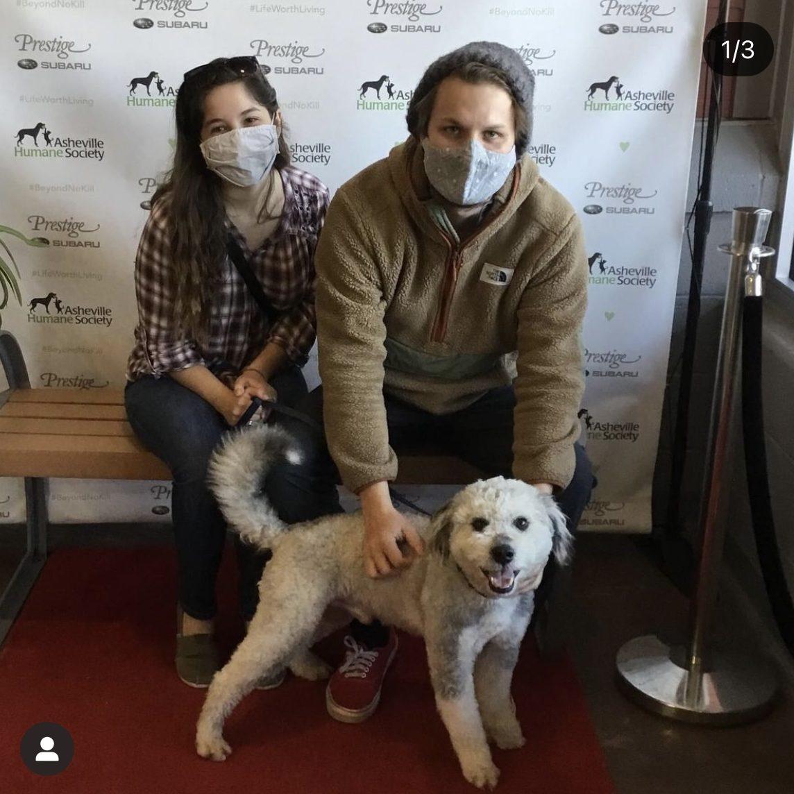 Pickles' Adoption Day! 2021