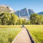 Cook's Meadow Loop