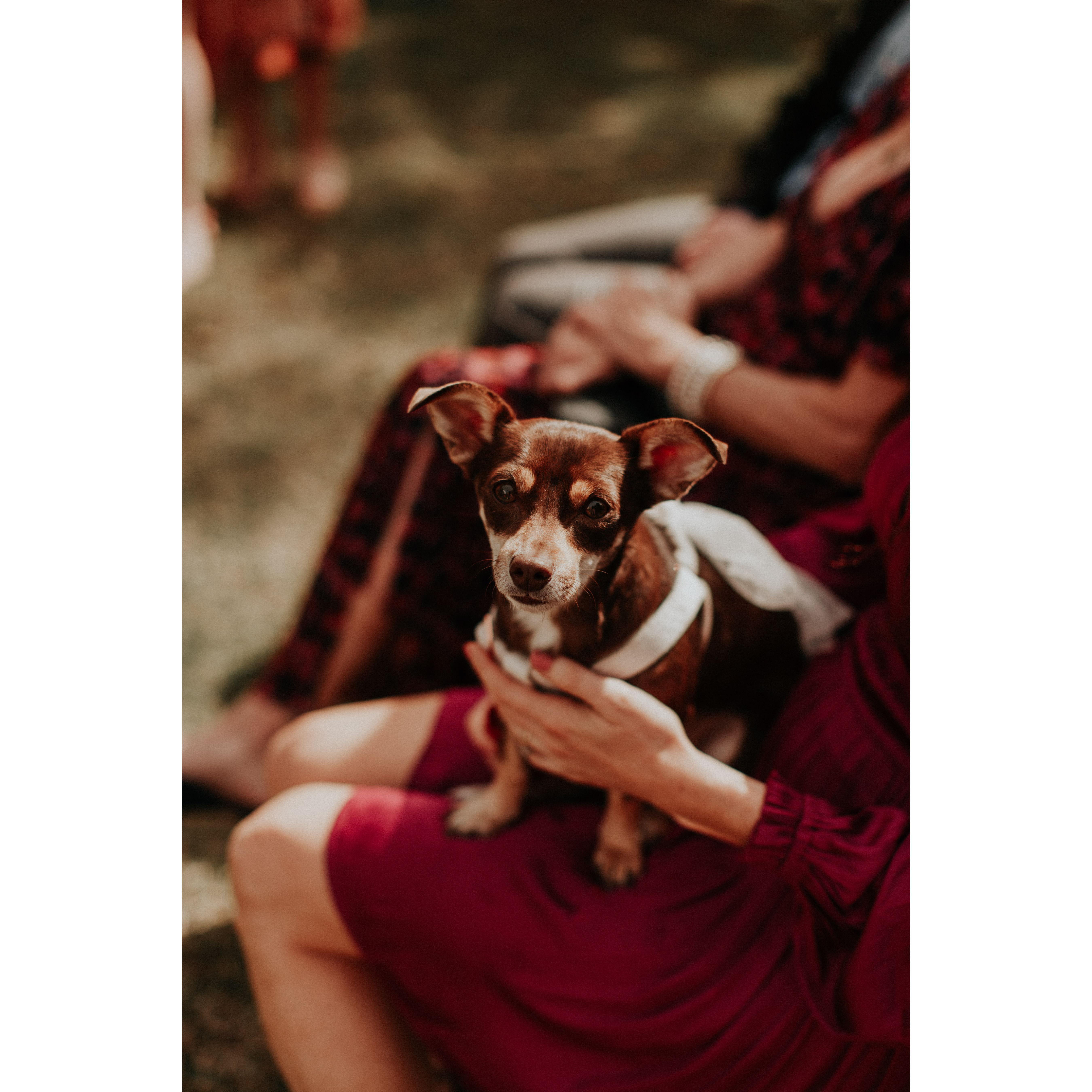 LA Intimate Ceremony
