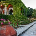 Balchik Botanic Garden