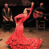 Flamenco Shows!