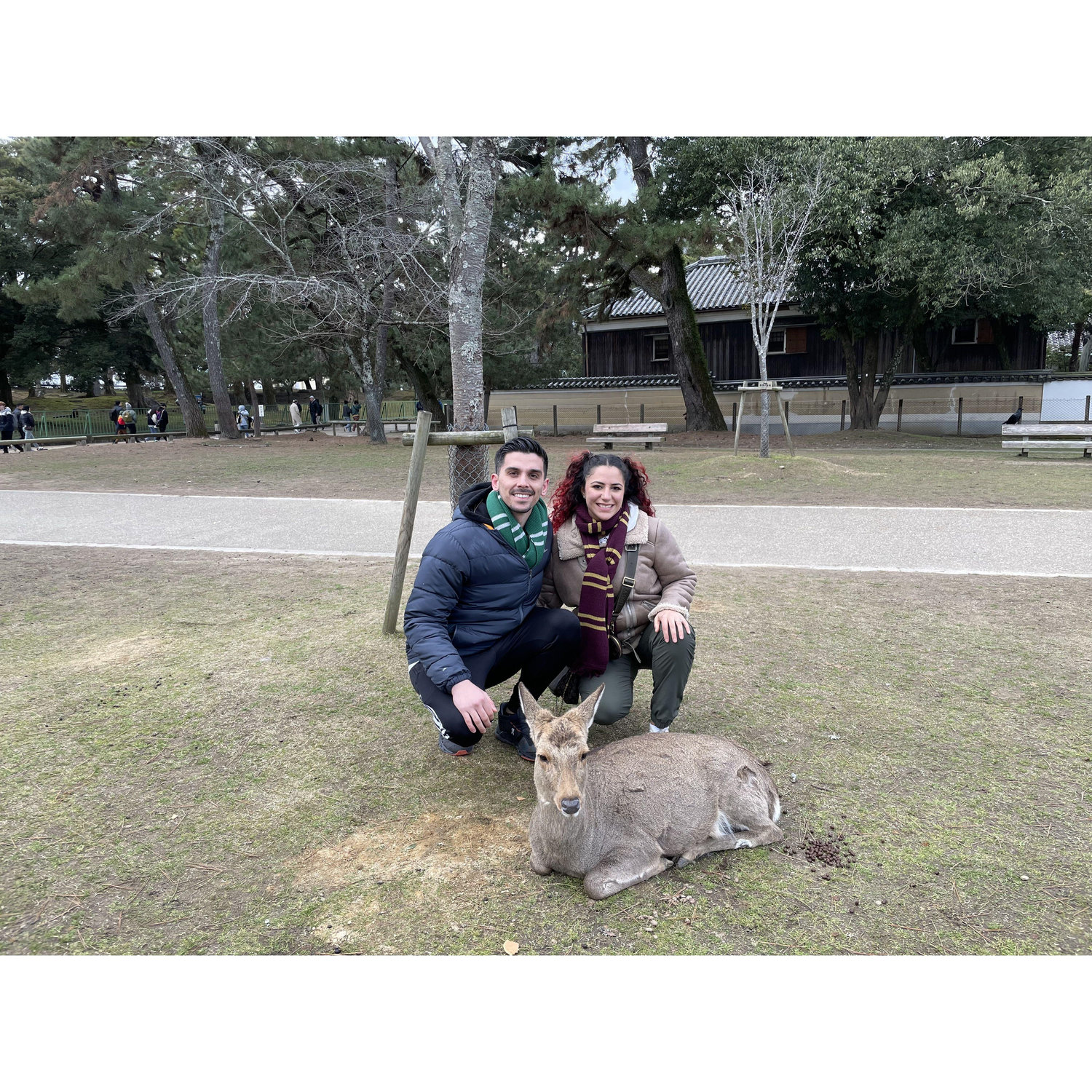 Nara, Japan