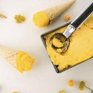 Gelato Making Class With Sergio Dondoli in Tuscany, Italy