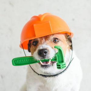 Home Improvement and Honeymoon Fund