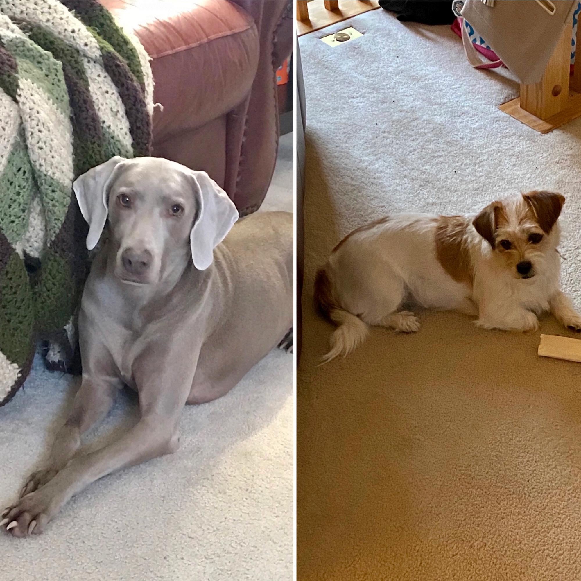 Rori and Phoebe can’t wait!