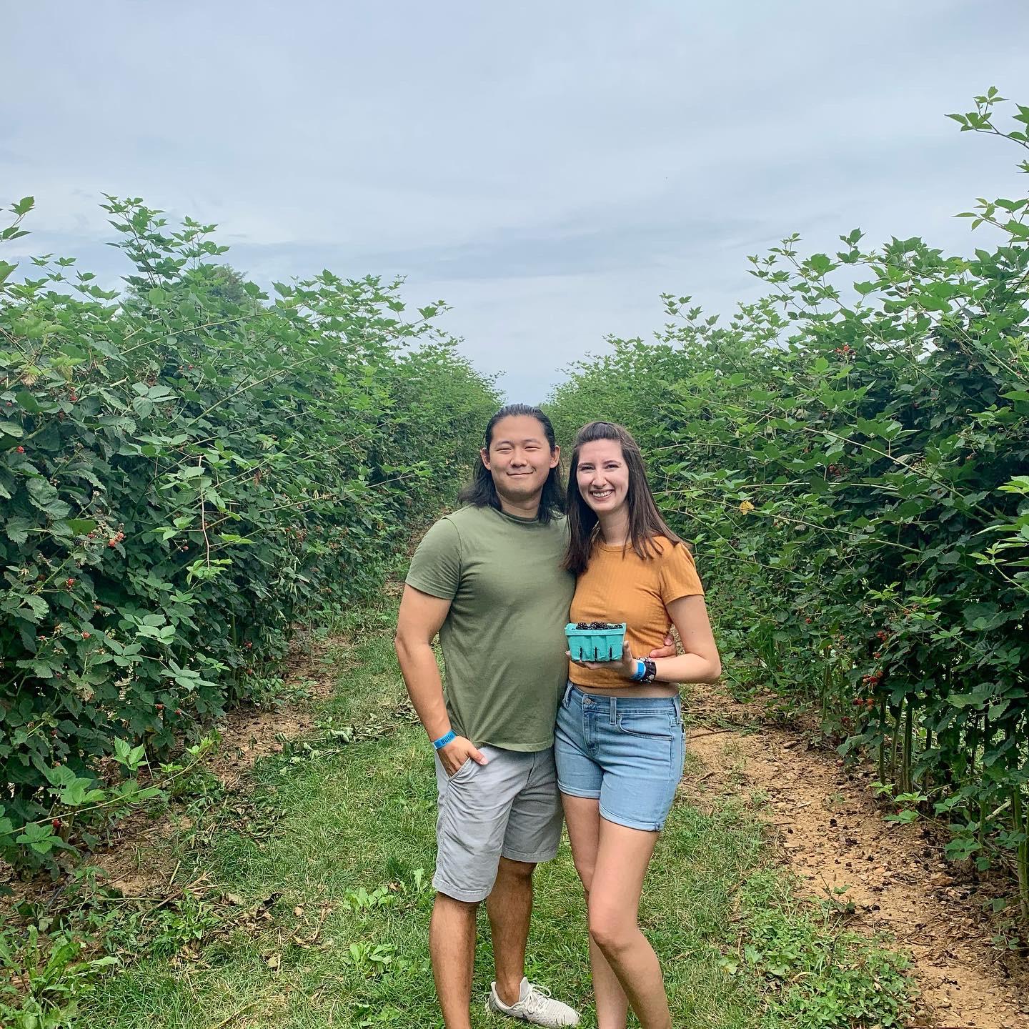 Blackberry picking at Butler's Orchard, August 2021