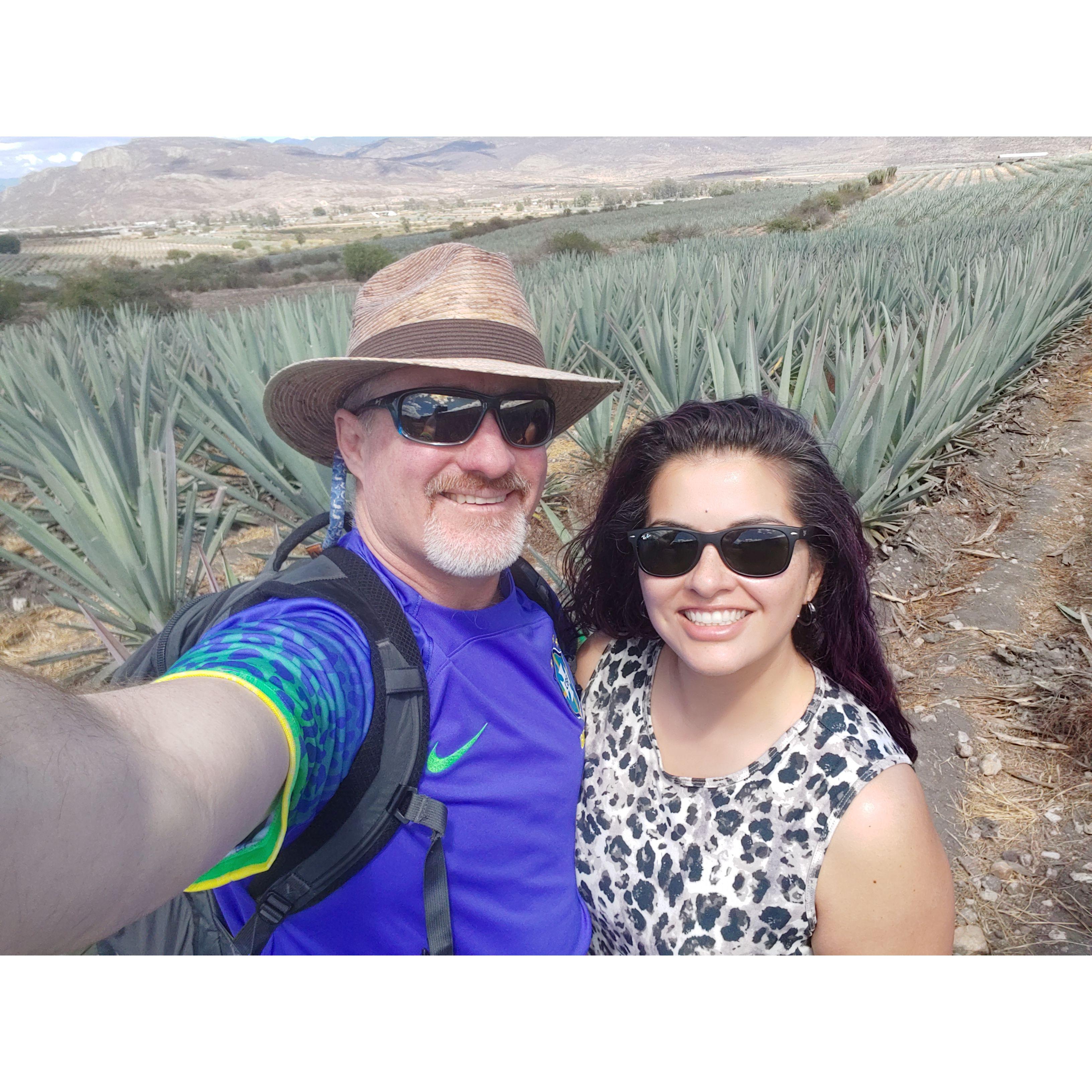 Touring the agave fields of Oaxaca - February 2023