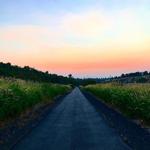Bill Chipman Trail