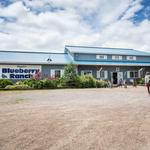 Hugli's Blueberry Ranch, Country Market & Play Park