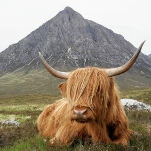 Scotland Honeymoon Fund