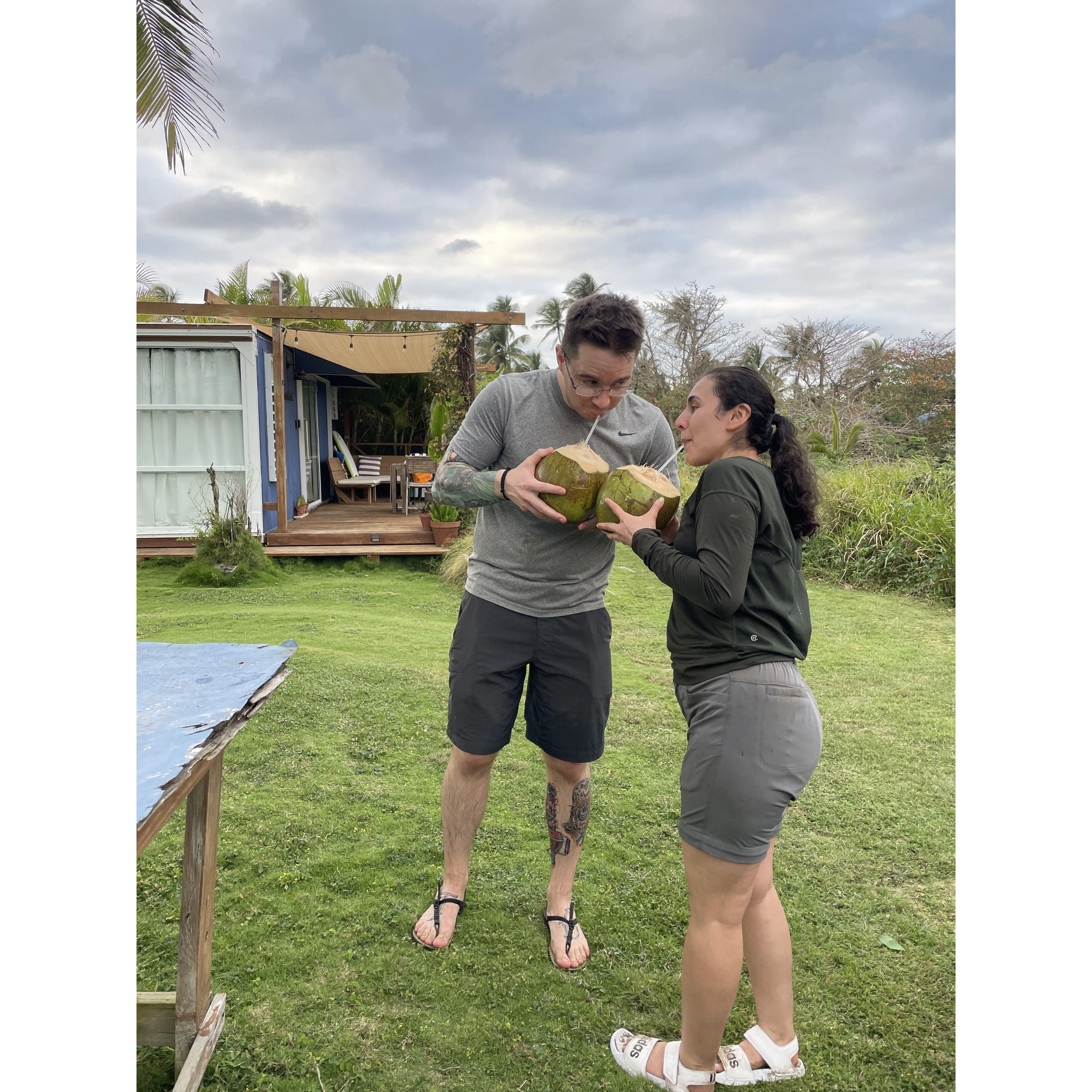 Drinking fresh coconut milk at our Airbnb in Arecibo, Puerto Rico - February 2023