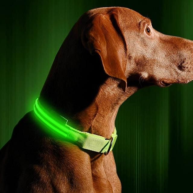 ILLUMISEEN LED Light Up Dog Collar - Bright & High Visibility Lighted Glow Collar for Pet Night Walking – USB Rechargeable – Weatherproof, in 6 Colors