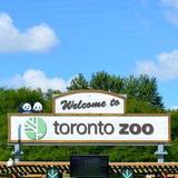 Toronto Zoo