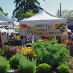 Bainbridge Island Farmers’ Market