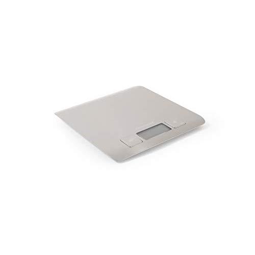 Frigidaire 11FFSCAL01 ReadyPrep Stainless Kitchen Scale, Silver
