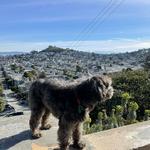 Billy Goat Hill