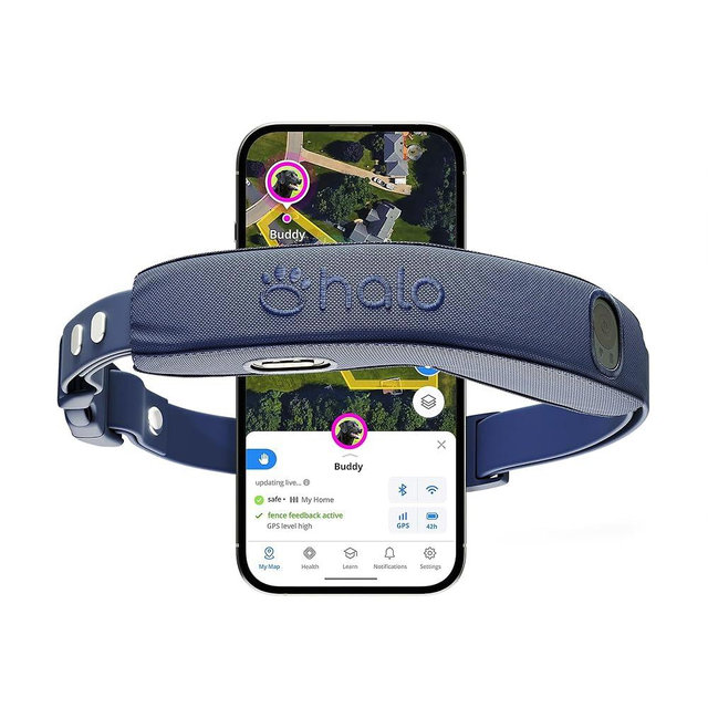Halo Collar 5 Wireless Dog Fence & GPS Dog Collar, Keep Your Dog Safely Contained Outdoors with App-Controlled Boundaries and Real-Time Tracking, One Size, Midnight