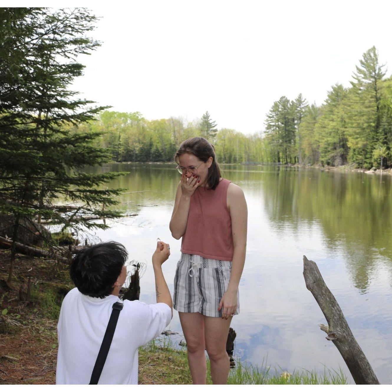 The staged proposal