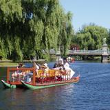 Swan Boats