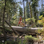 Shirley Canyon Trailhead