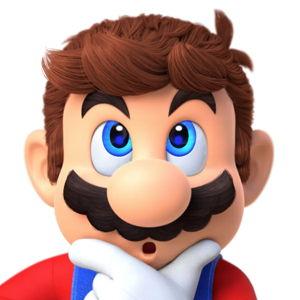 Switch Fund