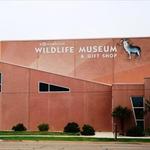 Rosenbruch World Wildlife Museum
