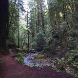 Fall Creek Trail