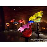 Morean Arts Center and the Chihuly Collection