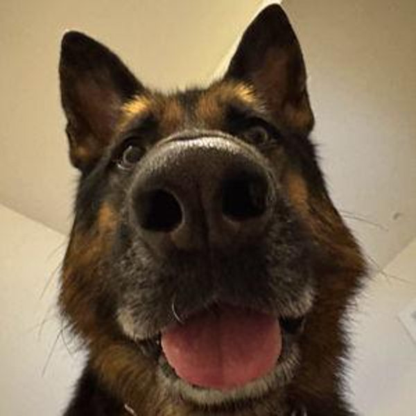 Eva Fund (very high maintenance dog)