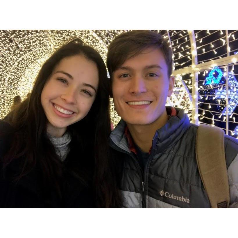 Light Maze Christmas 2017