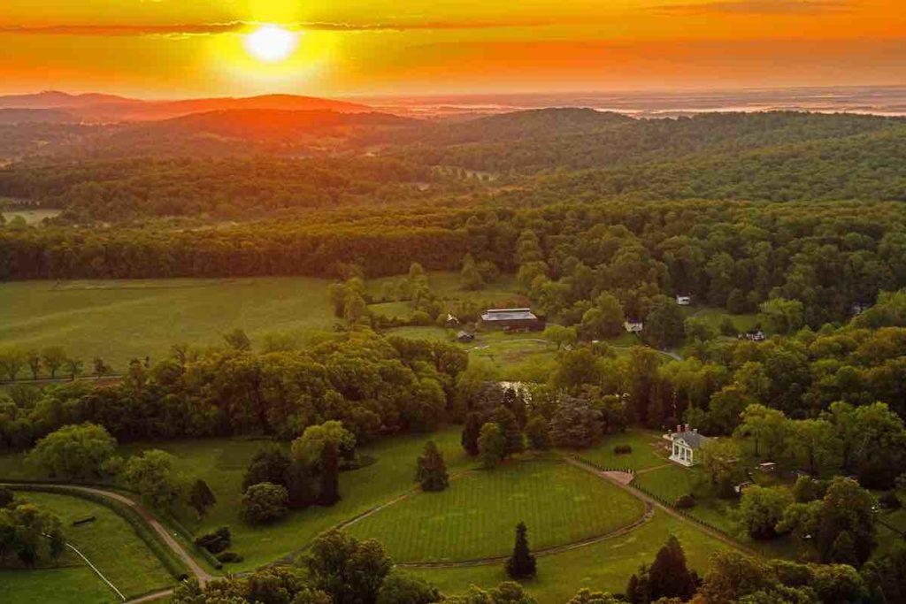 The Wedding Website of Nortrivah Hill and Todd Martin