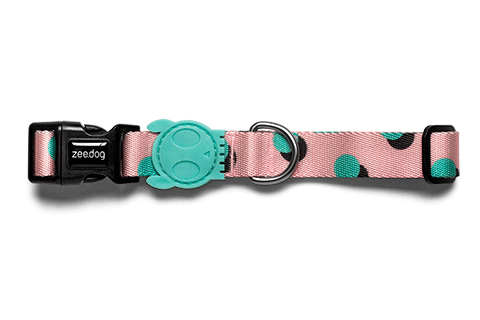 Polka | Dog Collar