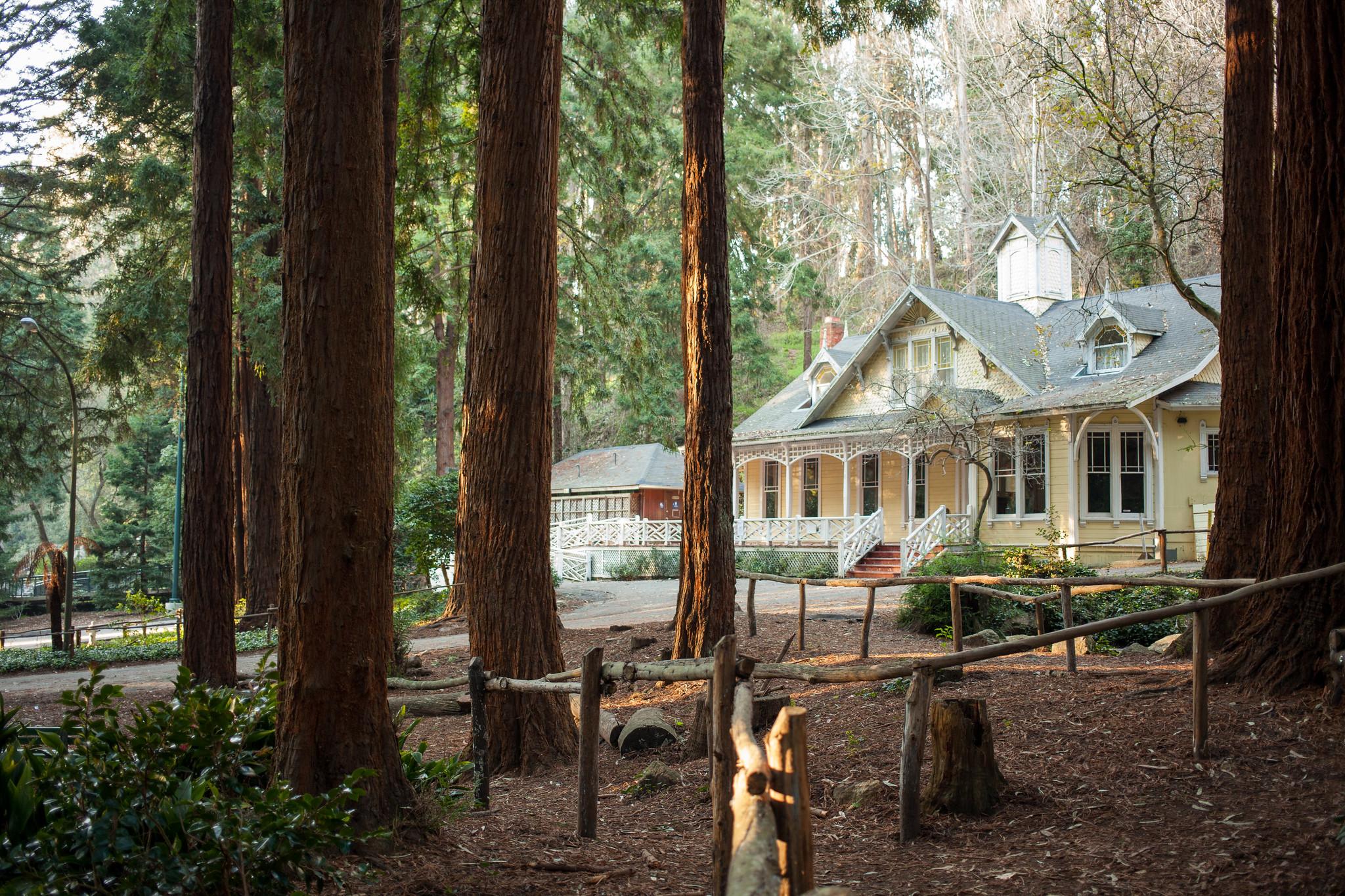 The Wedding Website of Natalie Holt and Zen Trenholm