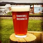 Hawksbill Brewing Company