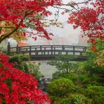 Portland Japanese Garden: Another fall must see!