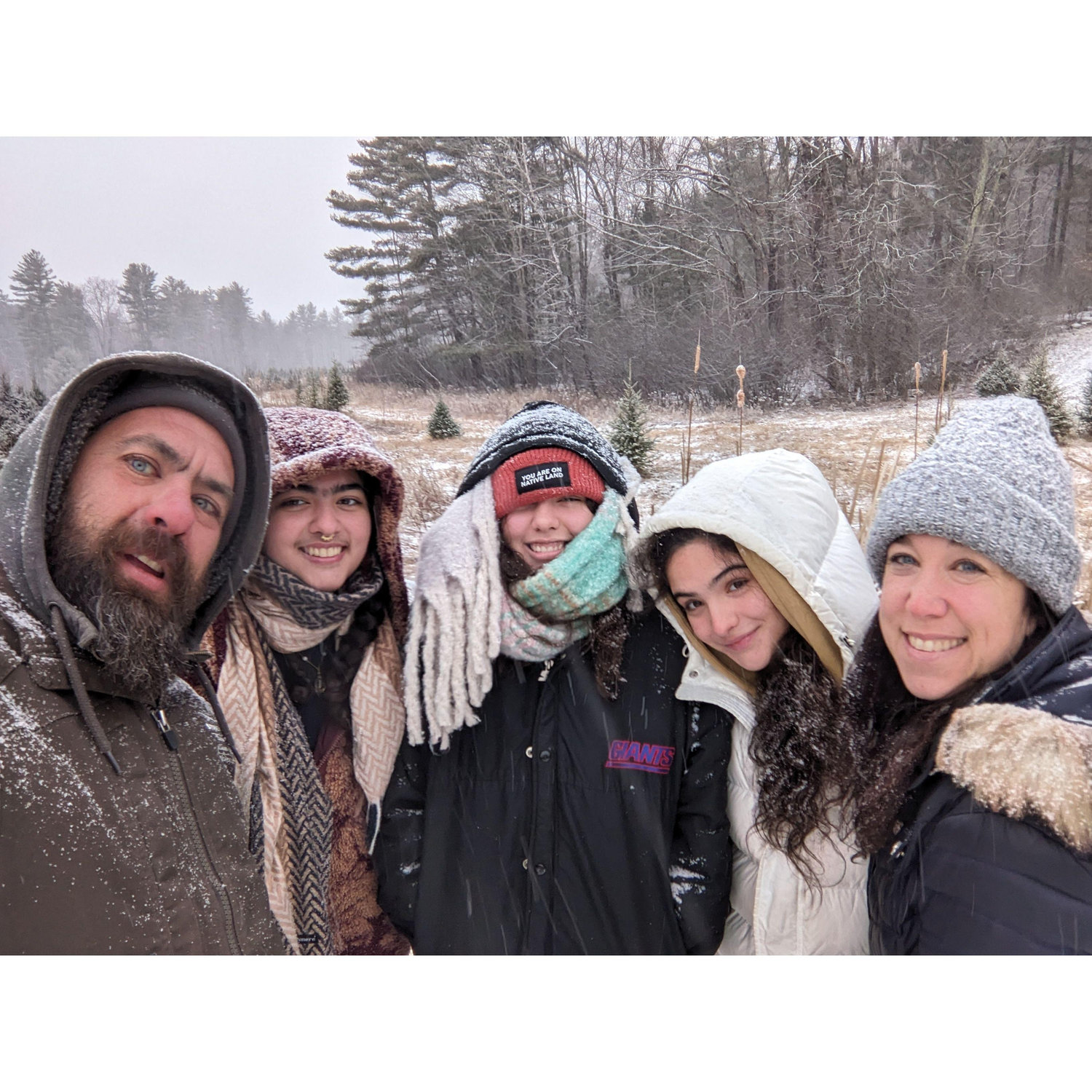 Solstice tree shopping 2024