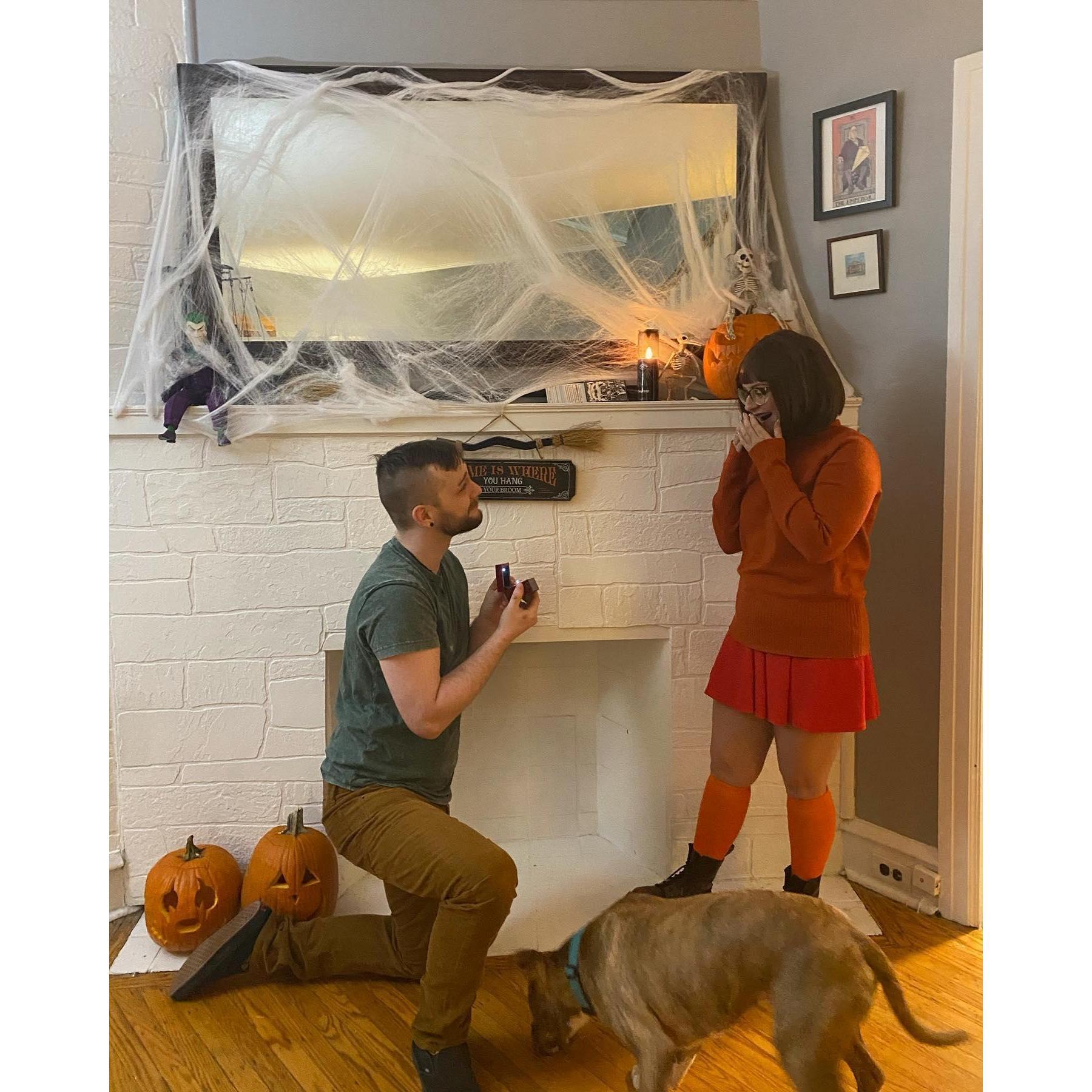 When Shaggy surprised Velma with a Halloween Proposal, while Scooby could not have cared less.