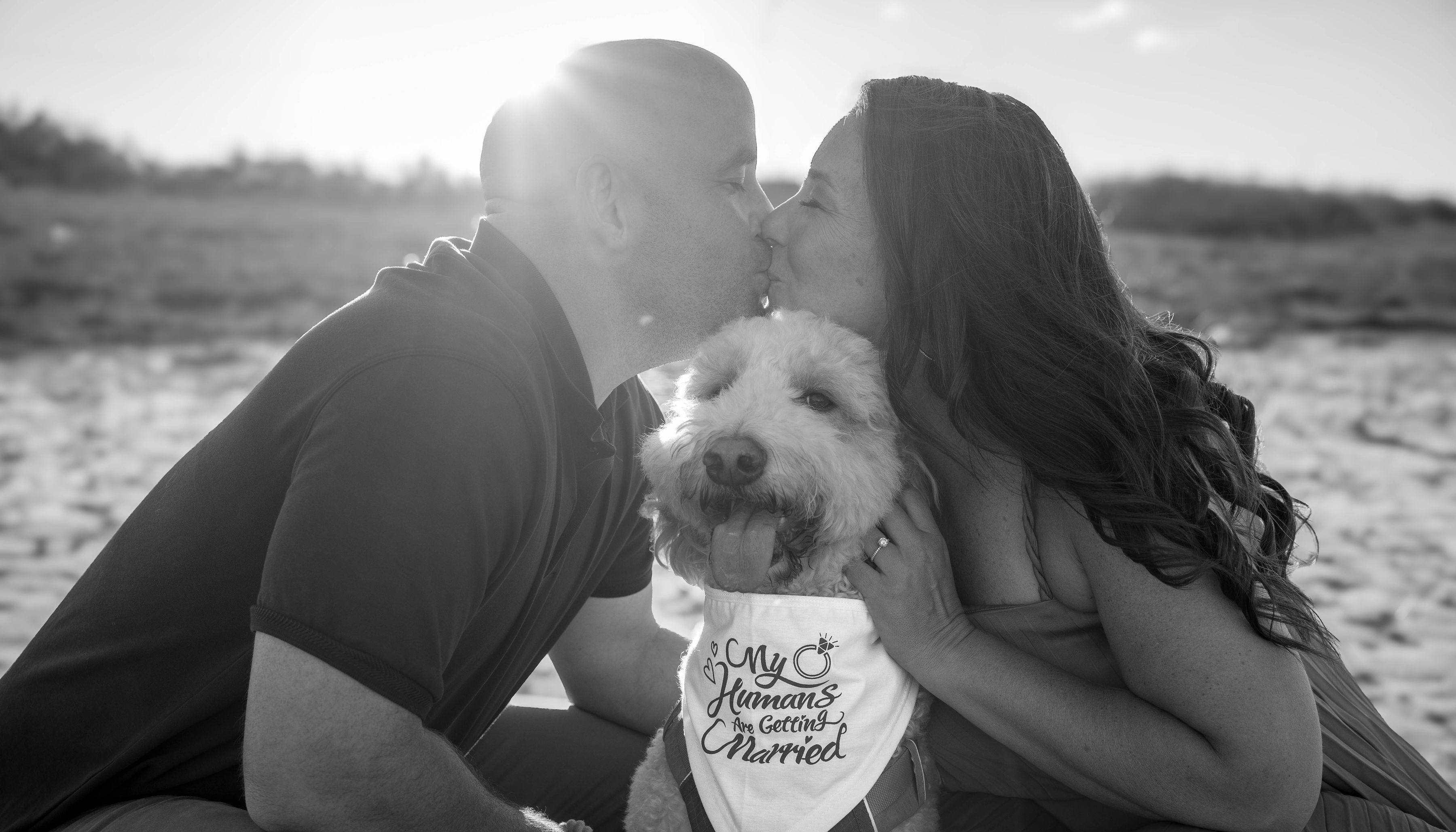 The Wedding Website of Crystal Ellis and Brady Sheehan